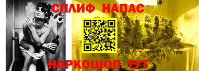 гашик Бийск