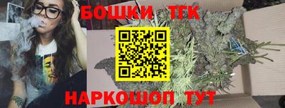 гашик Бийск