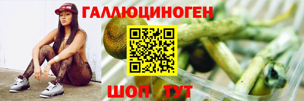 Галлюциногенные грибы GOLDEN TEACHER  Псилоцибиновые грибы ЛСД  Клинцы  Вход с VPN 
